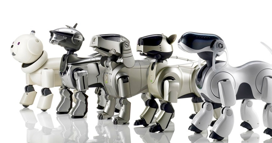 A photograph of five generations of AIBO standing side-by-side on a clear, white background and staring into the upper left corner.