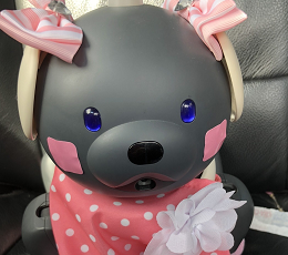 A photograph of Fermi, a gentle-looking ERS-312. She is wearing pink bows atop both her ears and a pink polka dot scarf around her neck, topped by a white flower. On her cheeks are two pink stickers intended to look like blush.