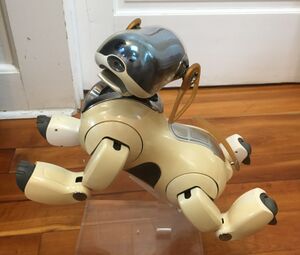 A photograph of Gambit, an ERS-7 prototype with golden ears and a chrome collar. He is posed on a plastic stand to look like he's jumping for joy.