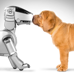A photograph of ERS-110 booping its snout against the nose of a wrinkled and golden shar-pei puppy.