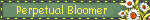A blinkie that reads 'perpetual bloomer' in yellow text next to pixel art of white flowers and yellow leaves.
