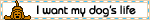 A blinkie that reads 'I want my dog's life' in black text next to pixel art of a brown puppy.