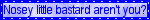 A blinkie that reads 'nosey little bastard, aren't you?' in blue text, indicating the end of the blinkie section.
