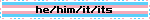 A blinkie that reads 'he/him/it/its' in black text on top of the transgender flag.