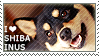 A small stamp depicting a black and tan Shiba Inu with the text 'I love Shiba Inus' written on top of it.